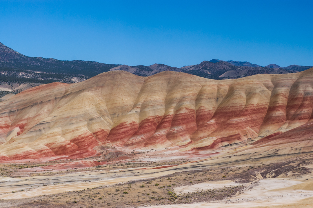 PAINTED HILLS X WAX CANVAS VEST